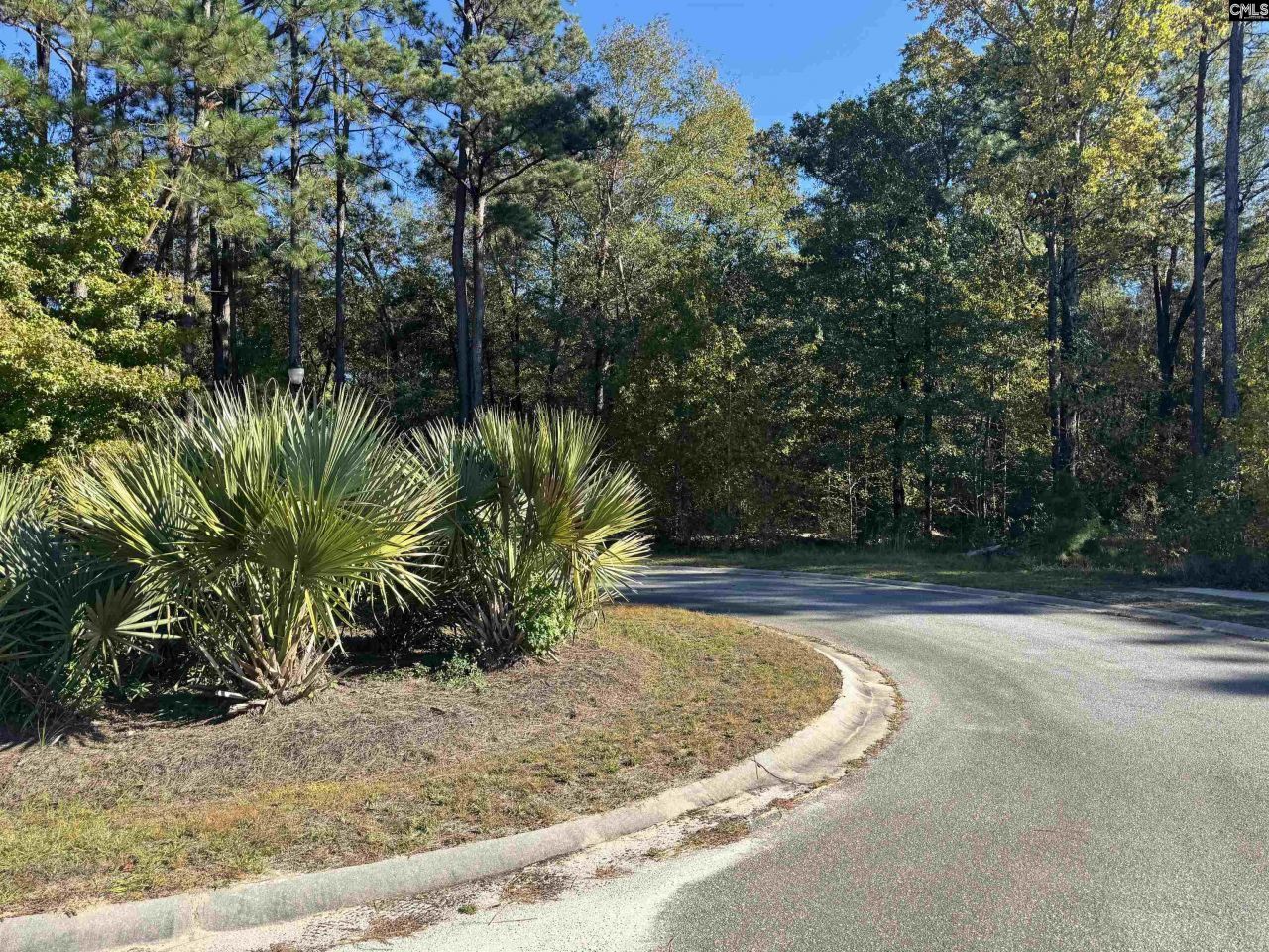 9 Legacy Court  Photo 9