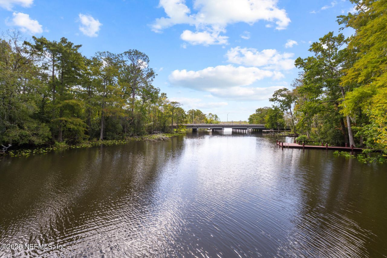 8849 Pallazzo Terrace, Jacksonville, FL 32217 Photo