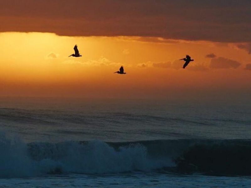 680 Horizons W, Unit 108, Boynton Beach, FL 33435 Photo