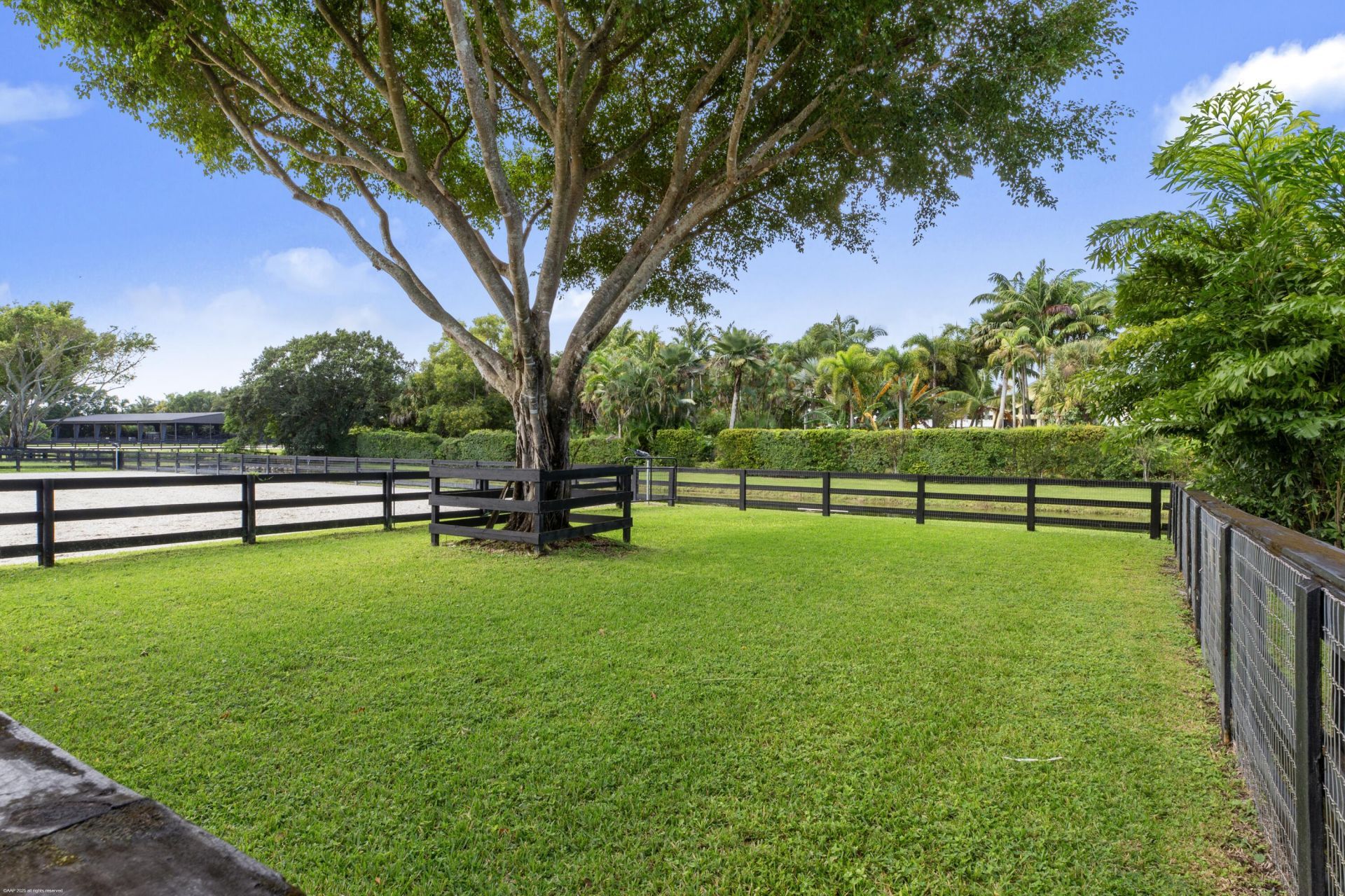 14439 Draft Horse Lane, Wellington, FL 33414 Photo