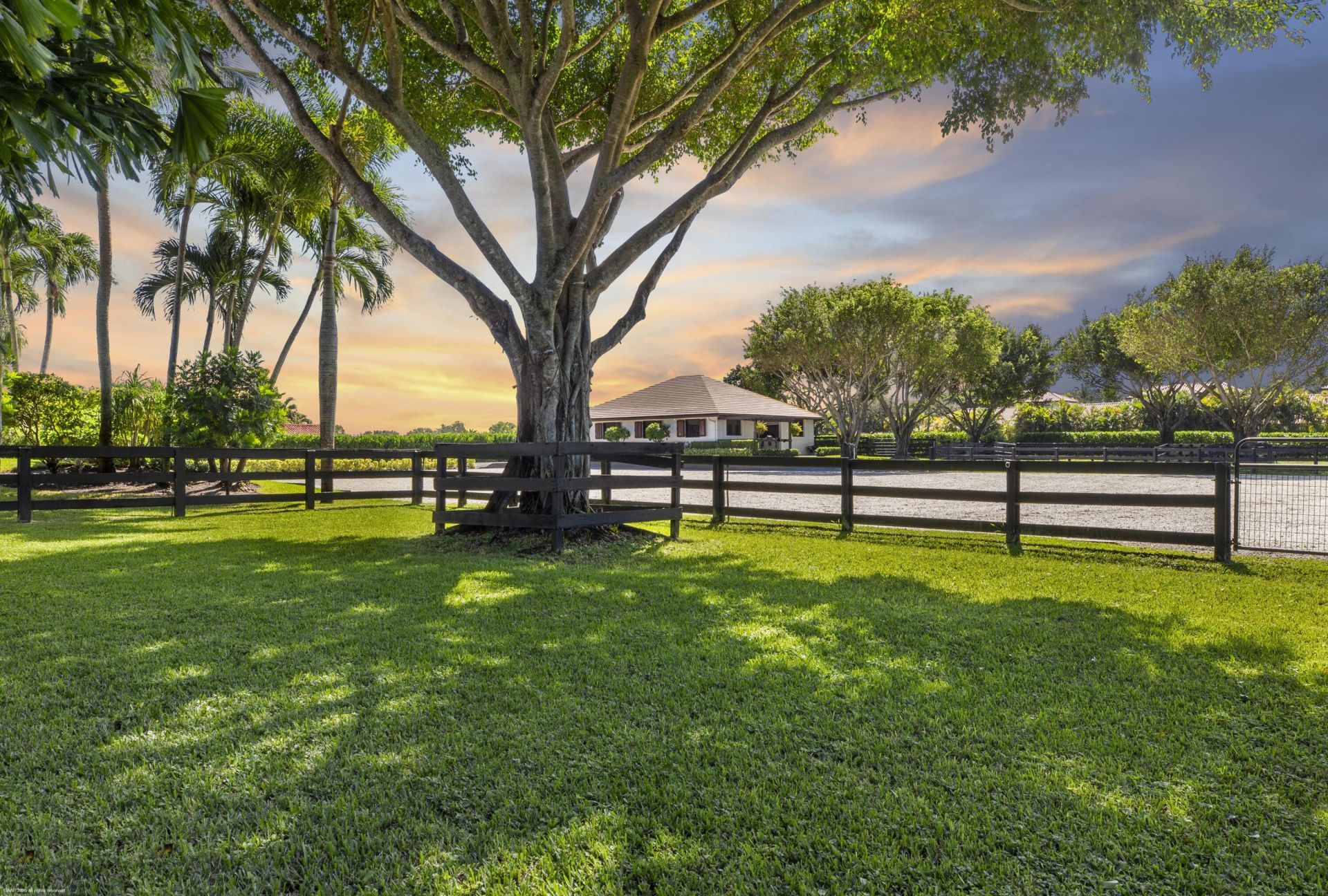 14439 Draft Horse Lane, Wellington, FL 33414 Photo