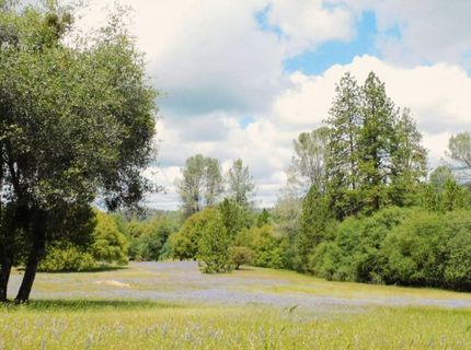 5383 Dream Ranch Cir, Placerville, CA 95667 Photo