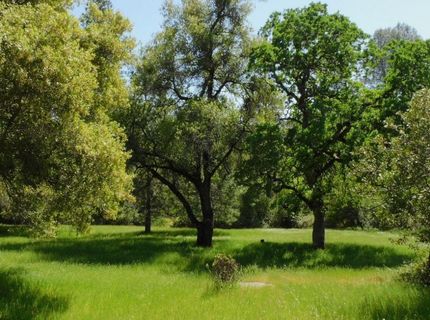 5383 Dream Ranch Cir, Placerville, CA 95667 Photo