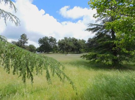 5383 Dream Ranch Cir, Placerville, CA 95667 Photo