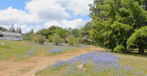 5383 Dream Ranch Cir, Placerville, CA 95667 Photo