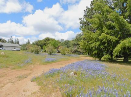 5383 Dream Ranch Cir, Placerville, CA 95667 Photo