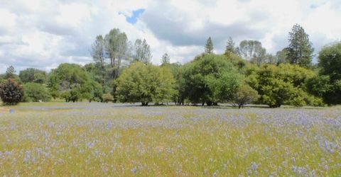5383 Dream Ranch Cir, Placerville, CA 95667 Photo