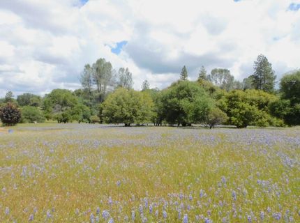 5383 Dream Ranch Cir, Placerville, CA 95667 Photo