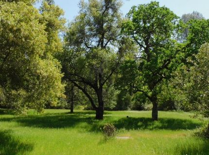 5383 Dream Ranch Cir, Placerville, CA 95667 Photo