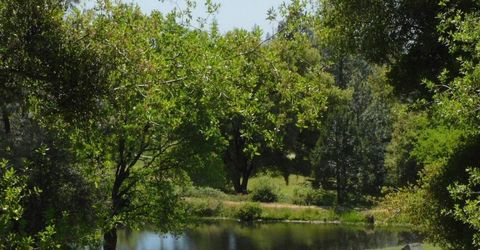 5383 Dream Ranch Cir, Placerville, CA 95667 Photo