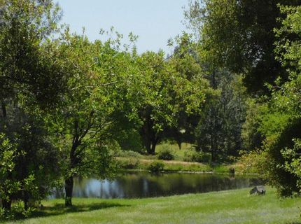 5383 Dream Ranch Cir, Placerville, CA 95667 Photo