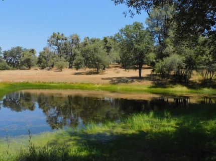 5383 Dream Ranch Cir, Placerville, CA 95667 Photo