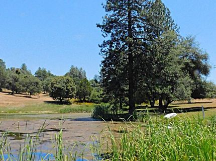 5383 Dream Ranch Cir, Placerville, CA 95667 Photo