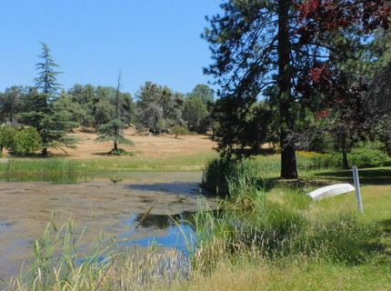 5383 Dream Ranch Cir, Placerville, CA 95667 Photo