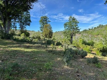 3745 Paramae Rd, Rail Road Flat, CA 95248 Photo