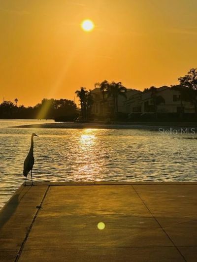 5200 Brittany Drive S, Unit 204, Saint Petersburg, FL 33715 Photo