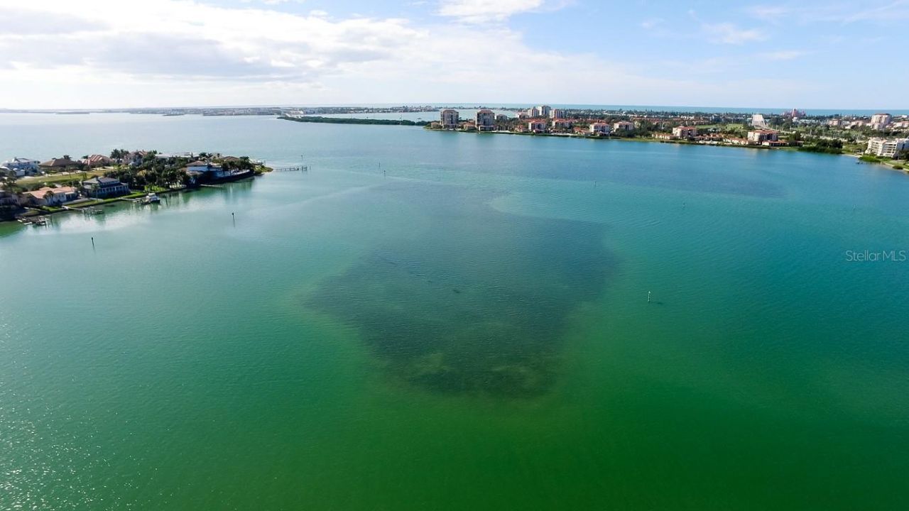 5200 Brittany Drive S, Unit 204, Saint Petersburg, FL 33715 Photo