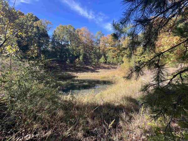 00 Hwy 254, Leslie, AR 72645