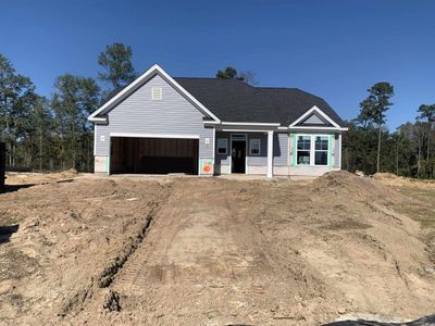 213 Blue Wing Court, Conway, SC 29527