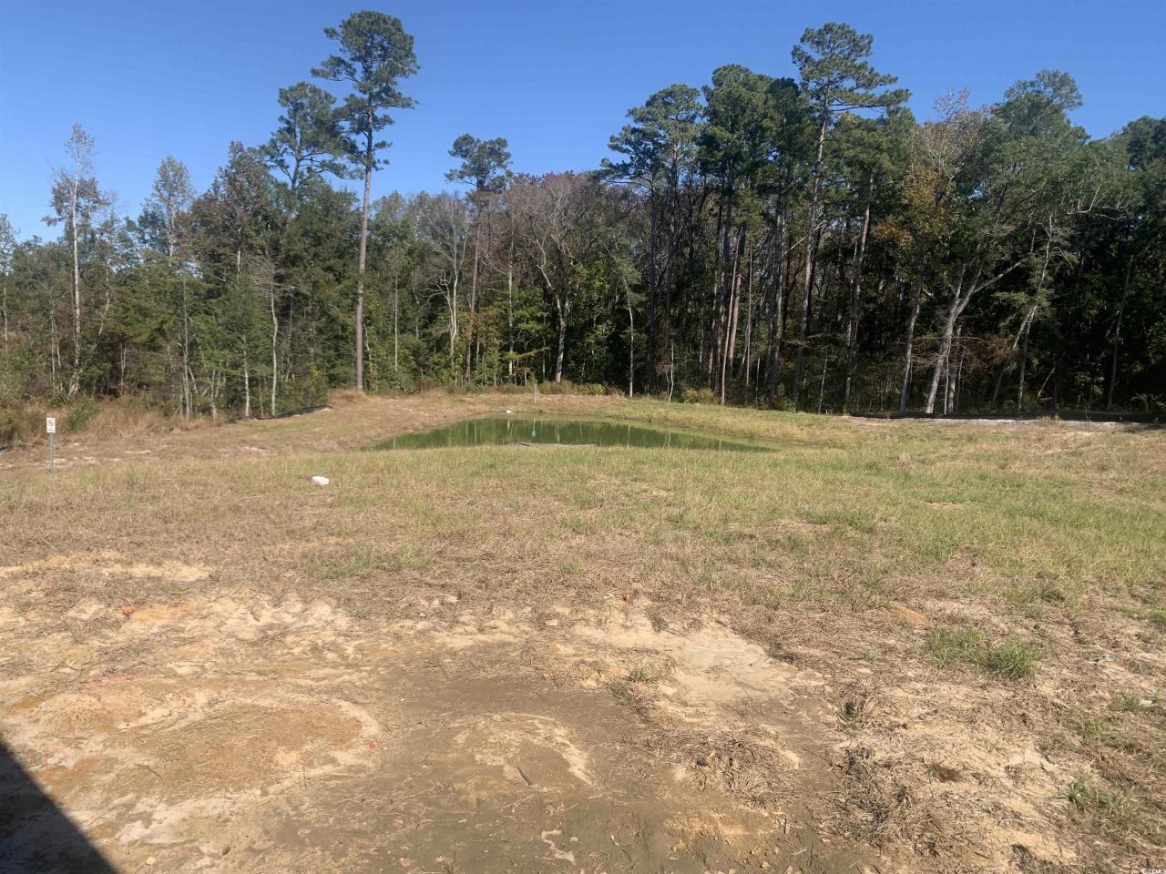 213 Blue Wing Court Photo 7