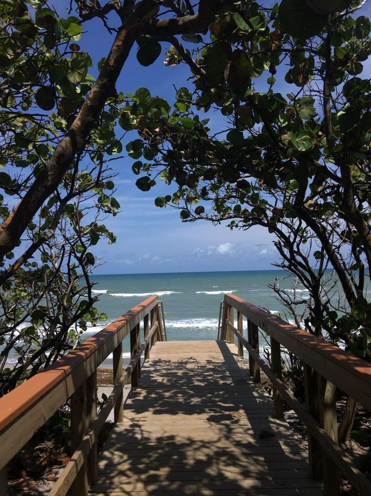 1605 S Us Highway 1, Unit F204, Jupiter, FL 33477 Photo