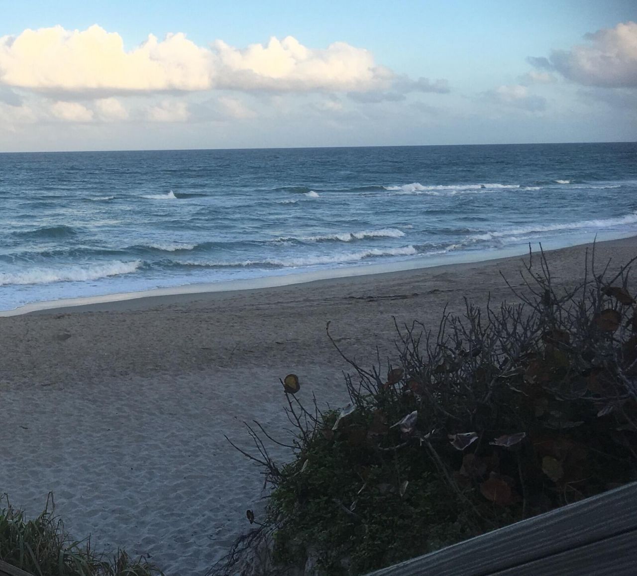 1605 S Us Highway 1, Unit F204, Jupiter, FL 33477 Photo