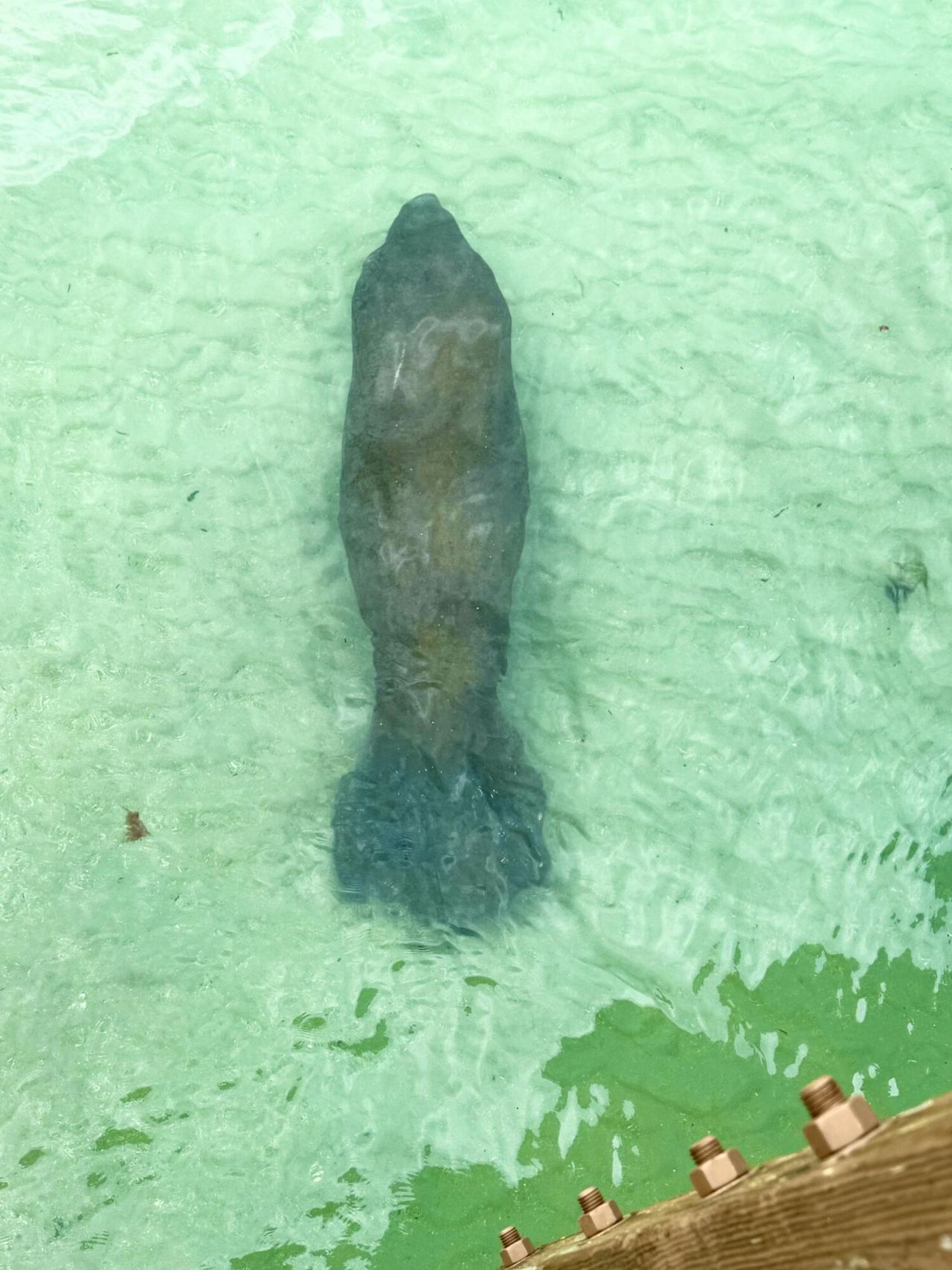 105 Paradise Harbour Boulevard, Unit 206, North Palm Beach, FL 33408 Photo