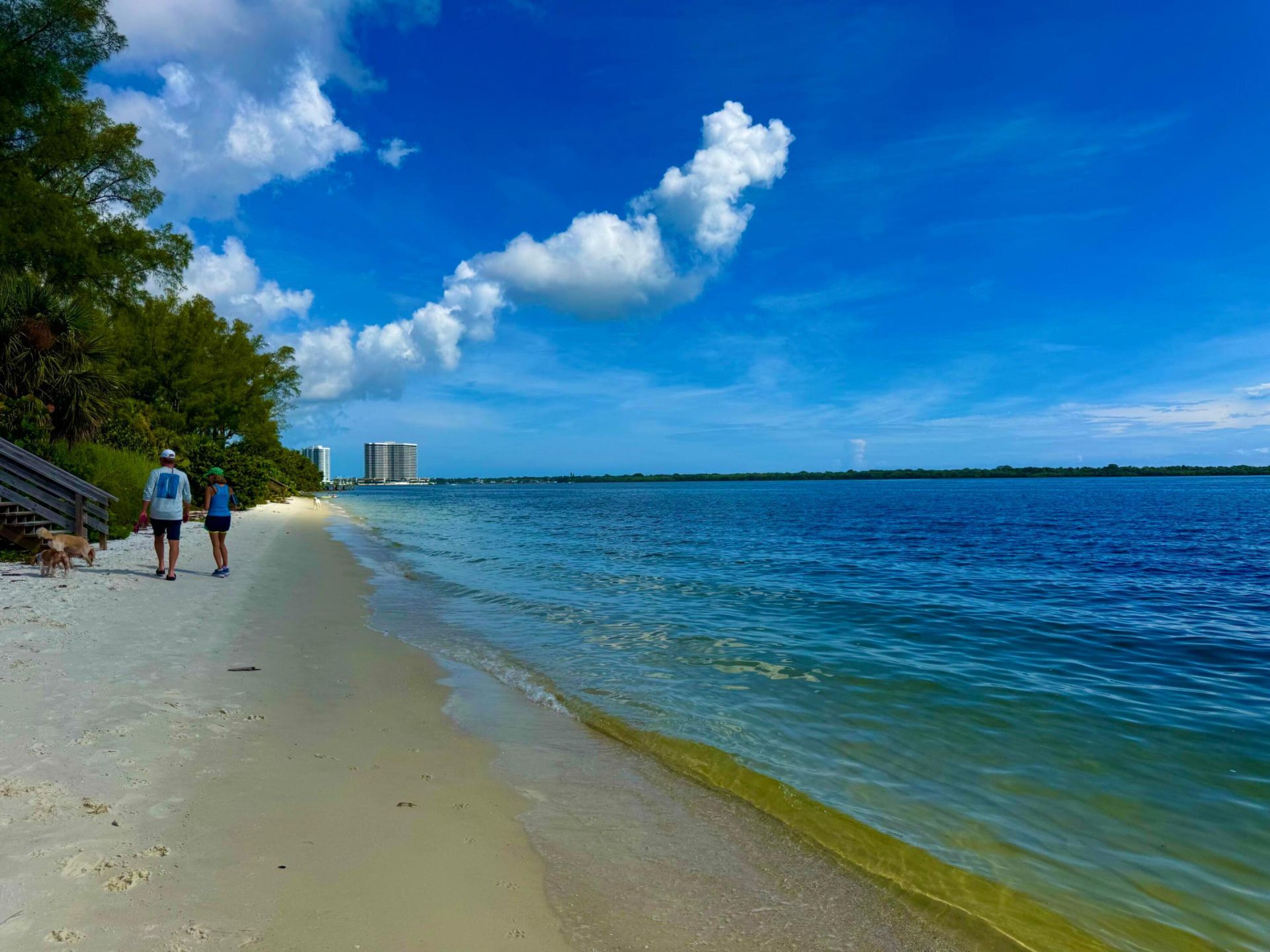 105 Paradise Harbour Boulevard, Unit 206, North Palm Beach, FL 33408 Photo