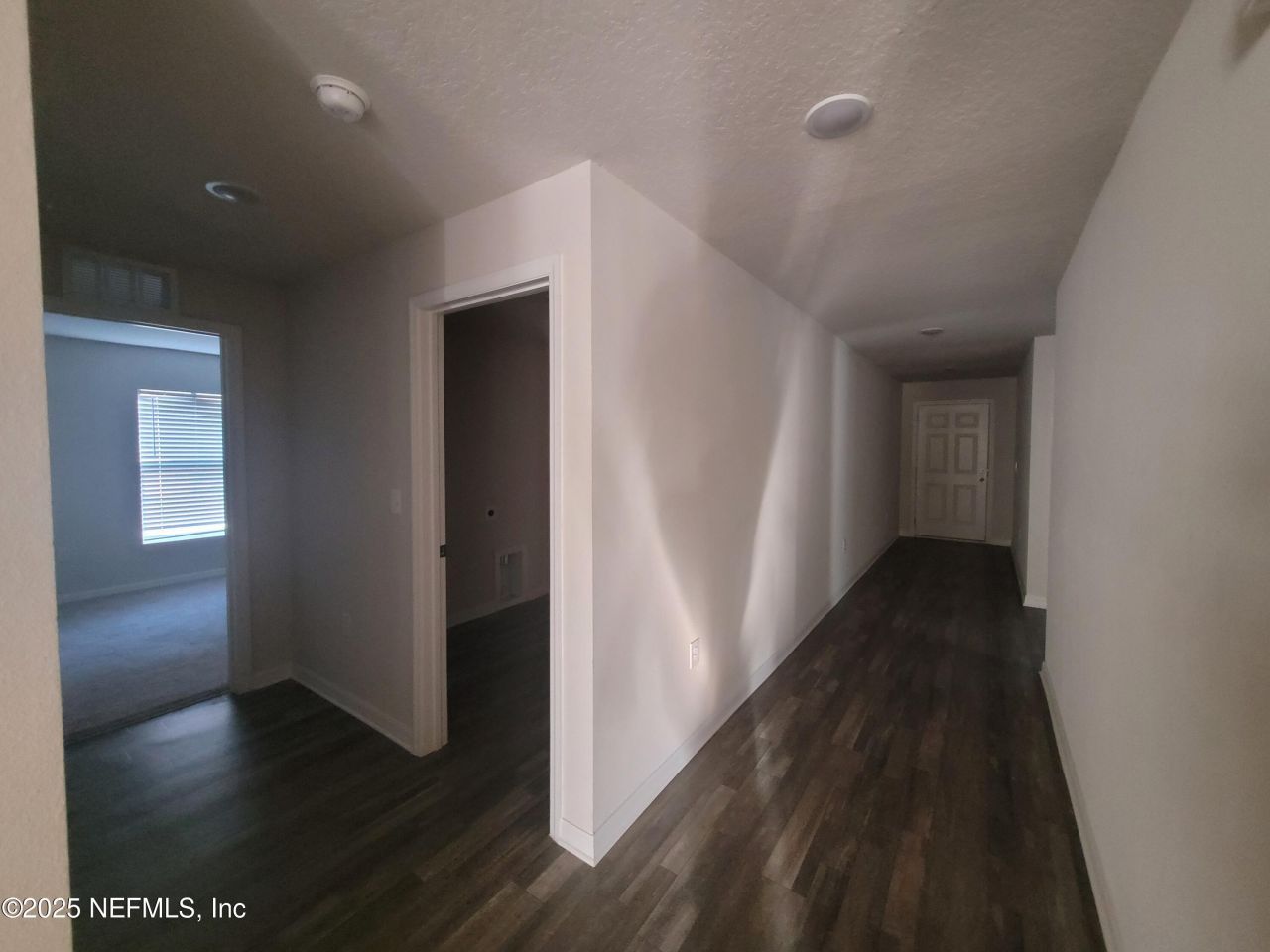 256 River Hill Drive, Welaka, FL 32193 Photo