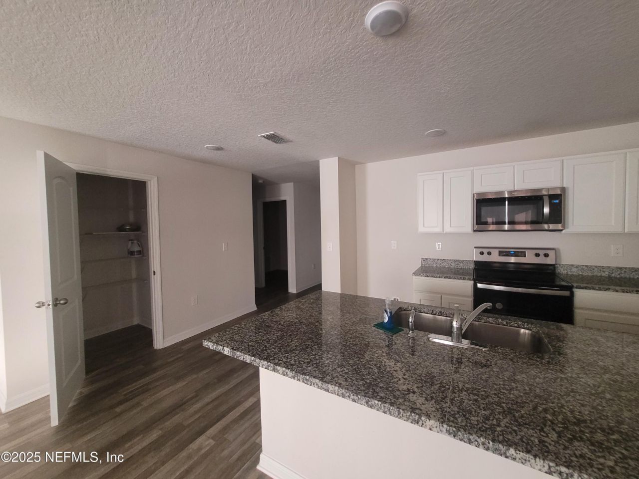 256 River Hill Drive, Welaka, FL 32193 Photo