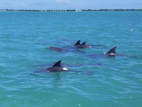 323 Bayview Avenue, KEY LARGO, FL 33037