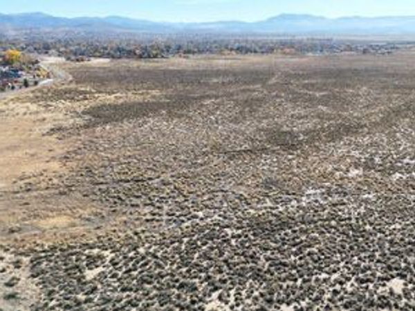 000 Johnson Lane, Minden, NV 89423