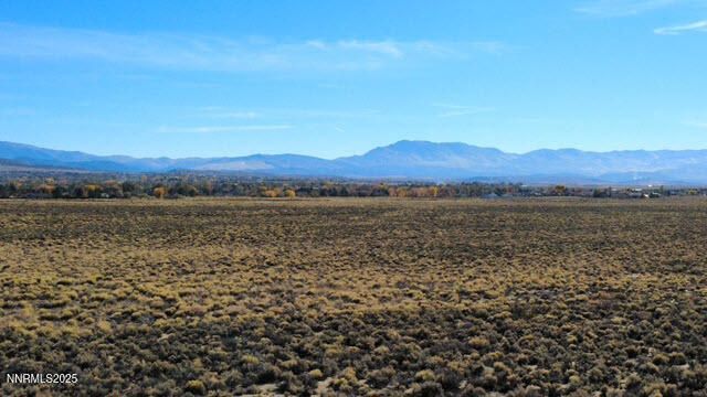 000 Johnson Lane, Minden, NV 89423 Photo