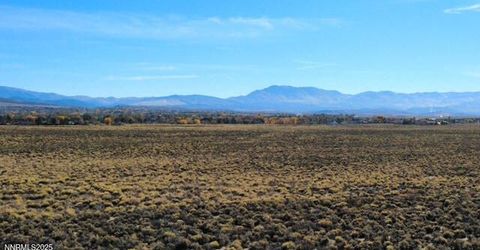 000 Johnson Lane, Minden, NV 89423 Photo