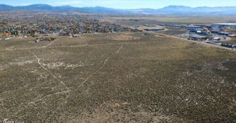 000 Johnson Lane, Minden, NV 89423 Photo