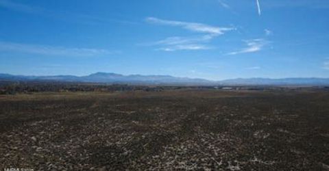 000 Johnson Lane, Minden, NV 89423 Photo