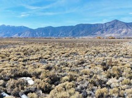 000 Johnson Lane, Minden, NV 89423 Photo