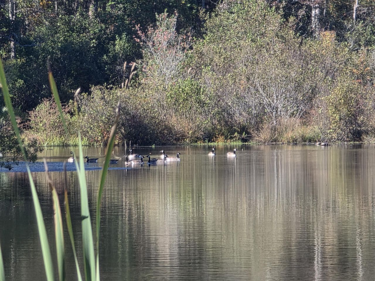 3644 Lake Marston Drive Photo 1