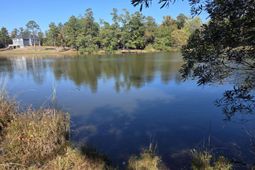 3644 Lake Marston Drive photo 4