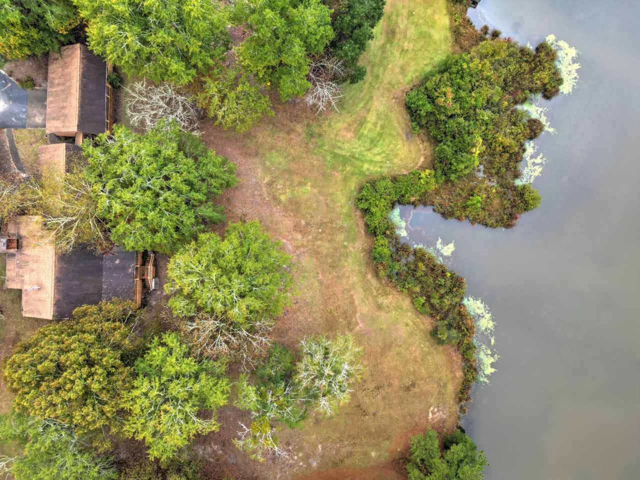 3644 Lake Marston Drive Photo 6