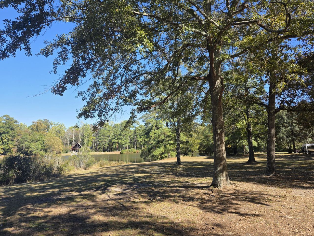 3644 Lake Marston Drive Photo 60