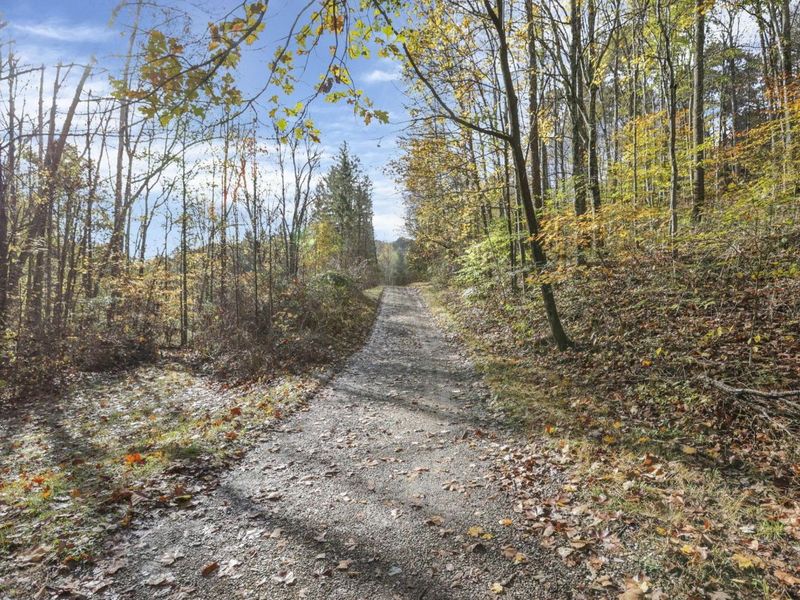 11912 State Route 691, Nelsonville, OH 45764 Photo 37