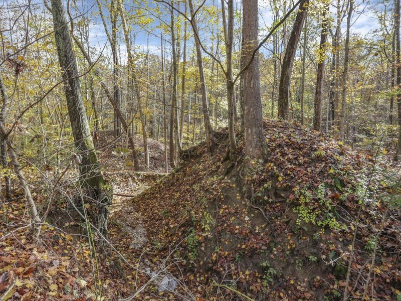 11912 State Route 691, Nelsonville, OH 45764 Photo 38