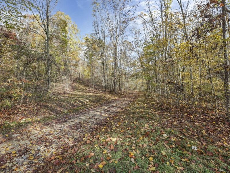 11912 State Route 691, Nelsonville, OH 45764 Photo 39