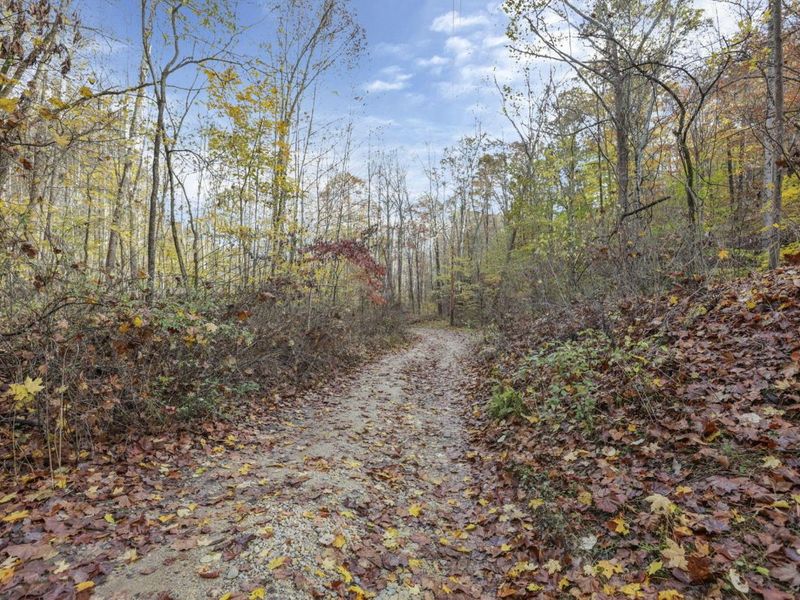 11912 State Route 691, Nelsonville, OH 45764 Photo 40