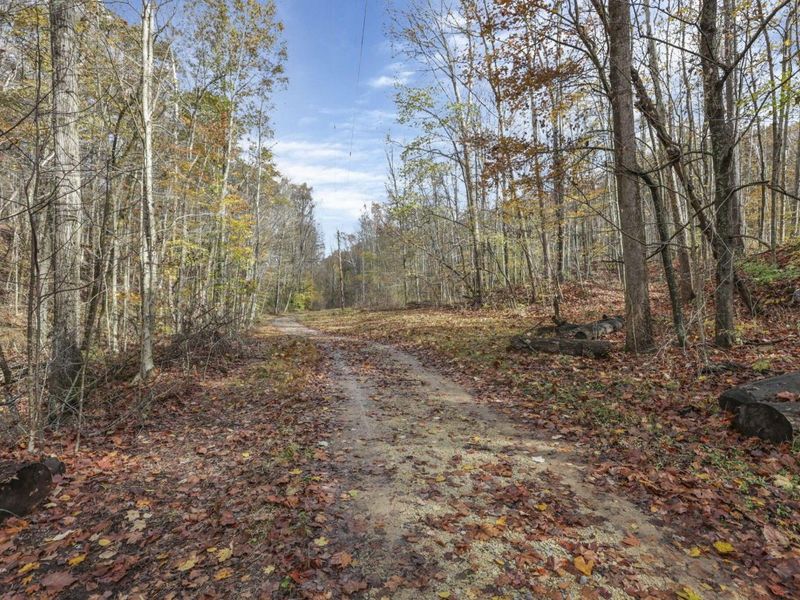 11912 State Route 691, Nelsonville, OH 45764 Photo 41