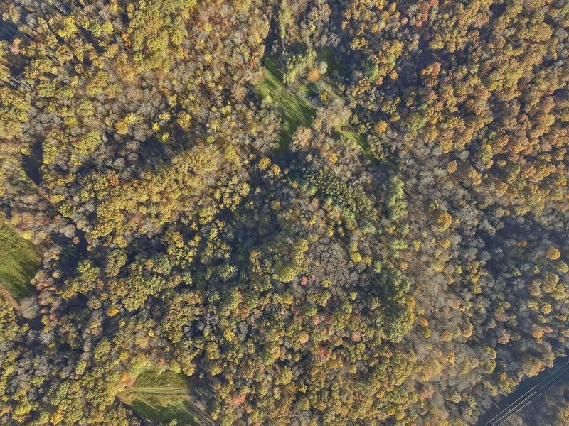 11912 State Route 691, Nelsonville, OH 45764 Photo 61