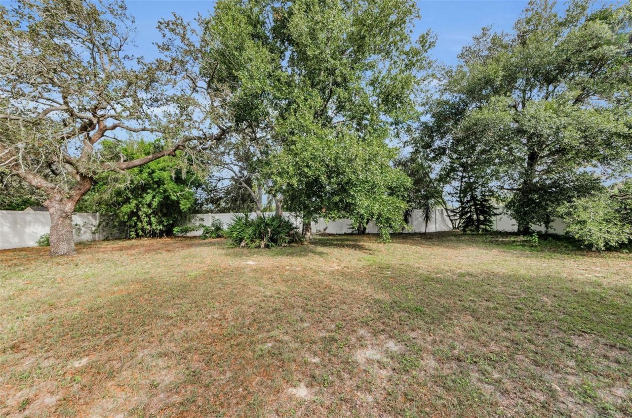 11744 La Madera Boulevard, Port Richey, FL 34668 Photo