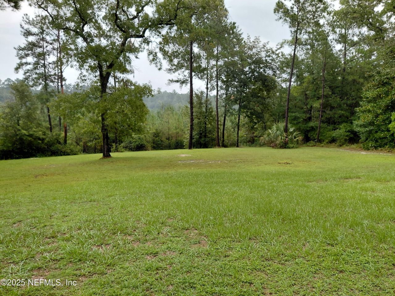 29065 Yellow Oak Court, Hilliard, FL 32046 Photo