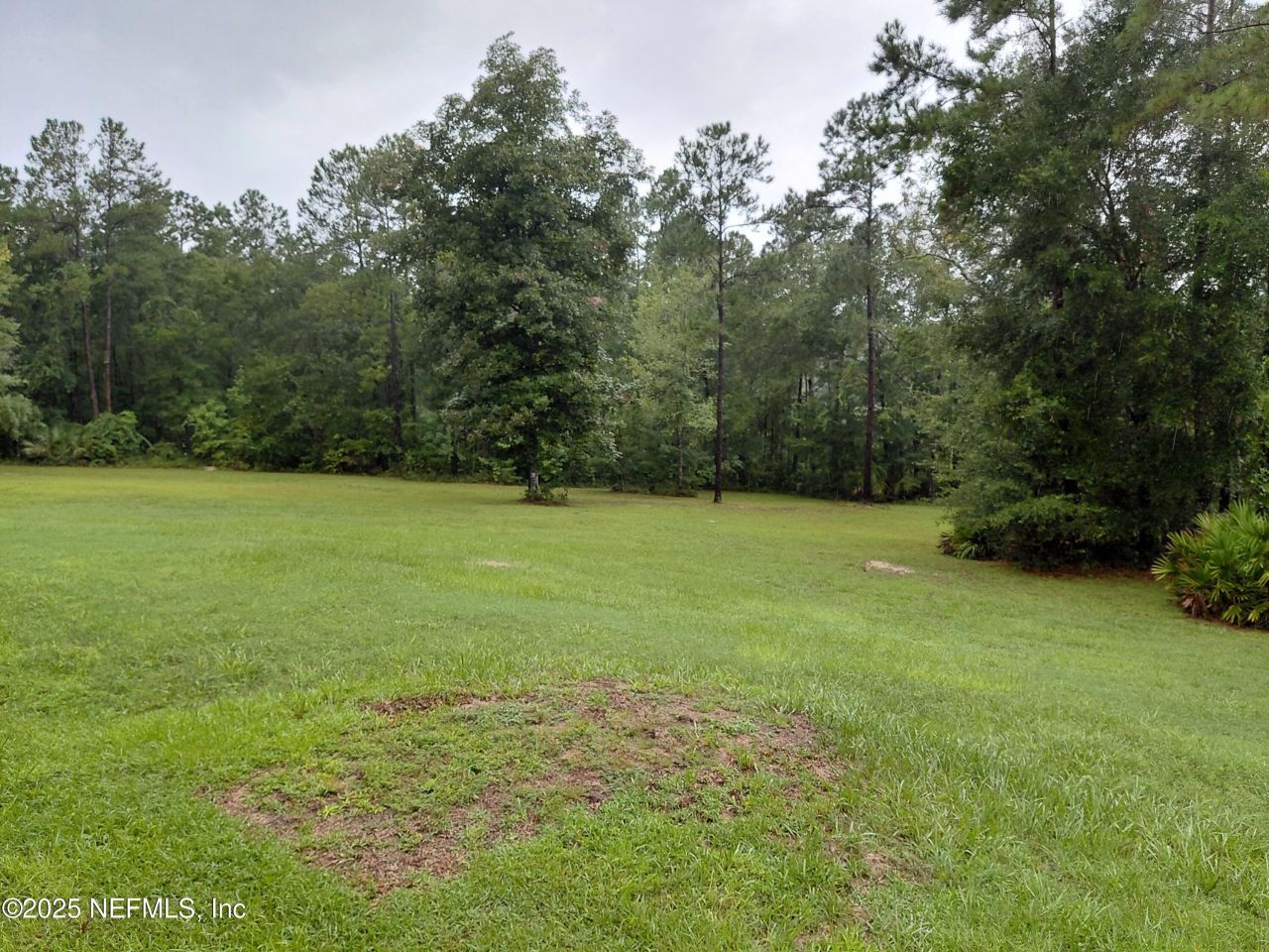 29065 Yellow Oak Court, Hilliard, FL 32046 Photo